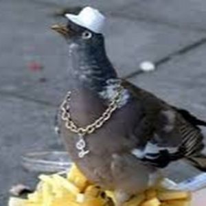 Meet your Posher, Colin